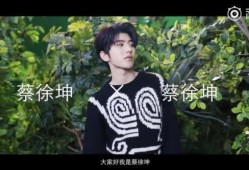 爆料视频蔡徐坤